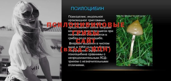PSILOCYBIN Снежинск