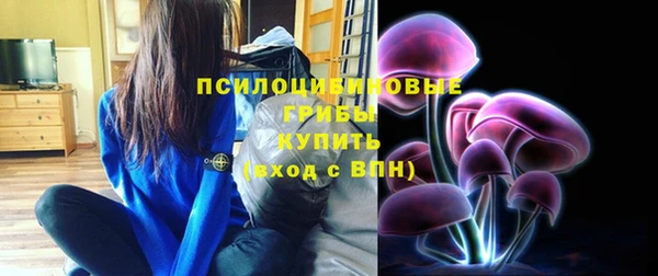 хмурый Железноводск