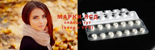 PSILOCYBIN Снежинск