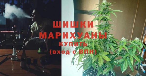 PSILOCYBIN Снежинск