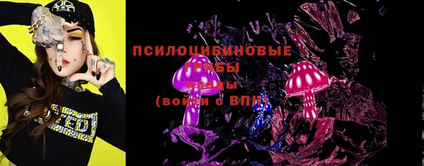 дмт Снежногорск